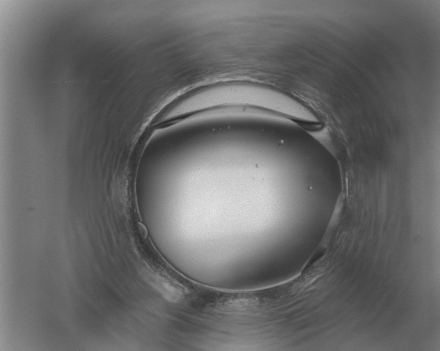 X0000052540156200507152142