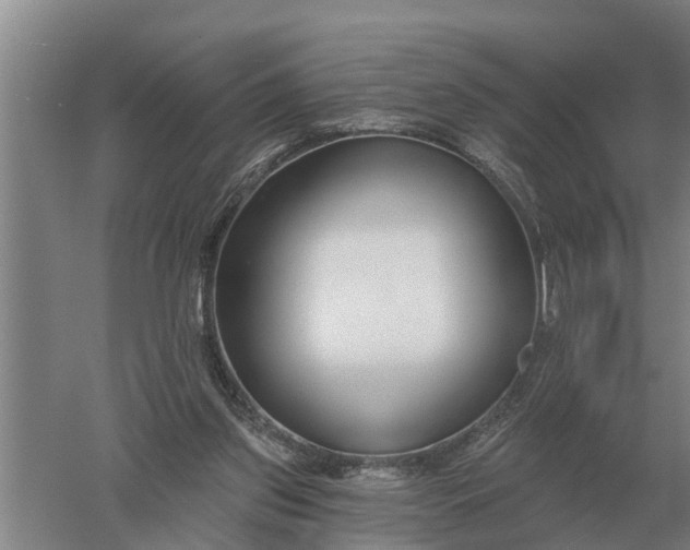 X0000052540157200507152142