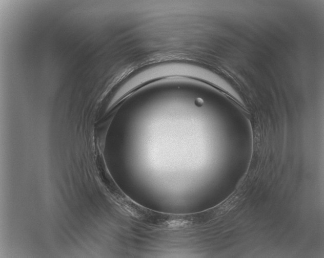 X0000052540158200507152142