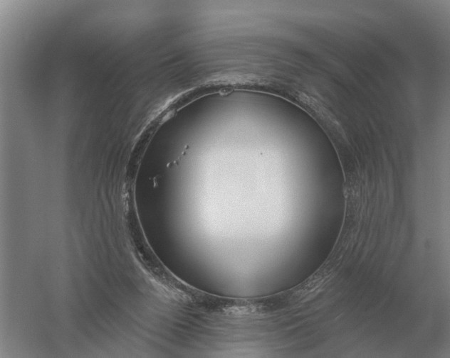 X0000052540160200507152142