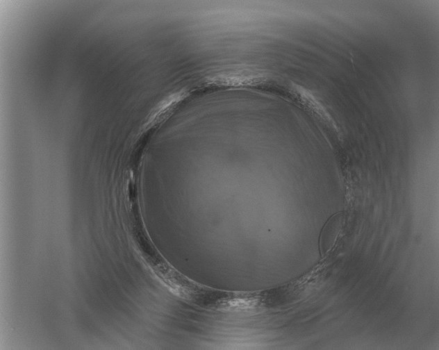 X0000052540163200507152142