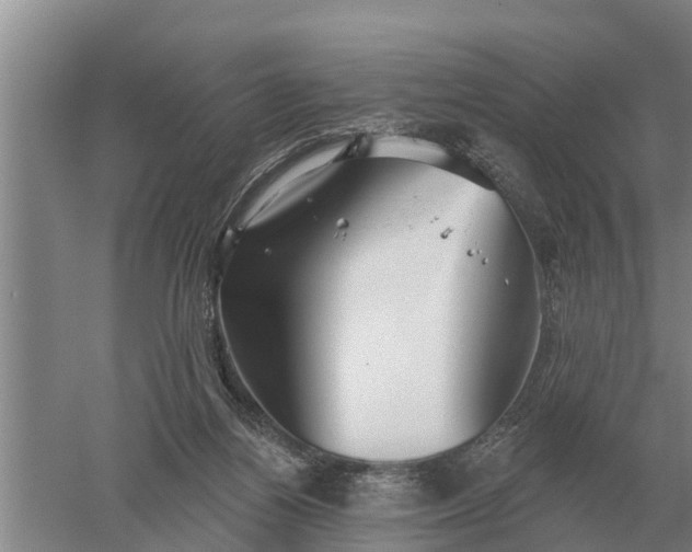 X0000052540164200507152142