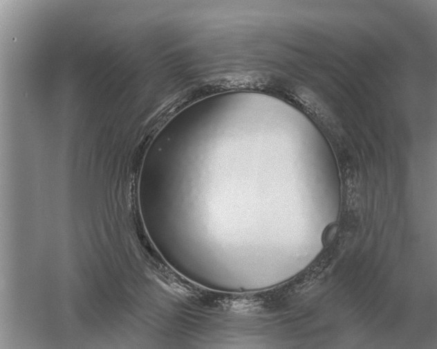 X0000052540165200507152142