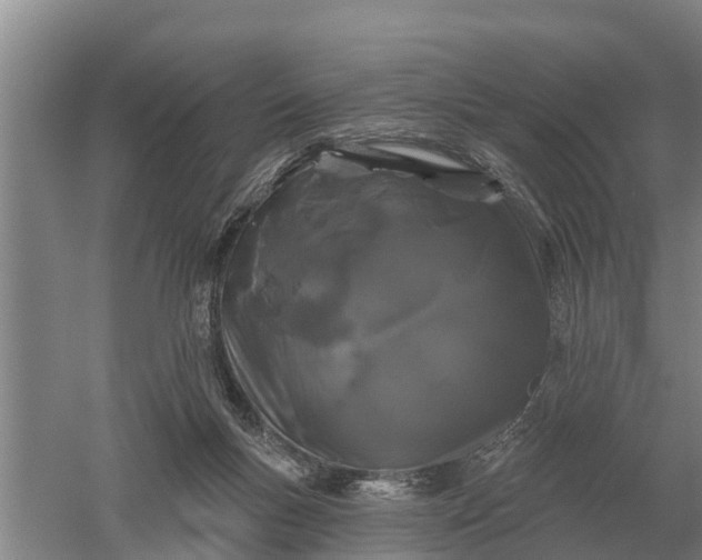 X0000052540167200507152142