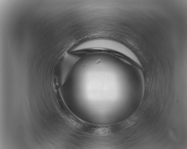 X0000052540168200507152142