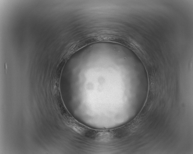 X0000052540169200507152142