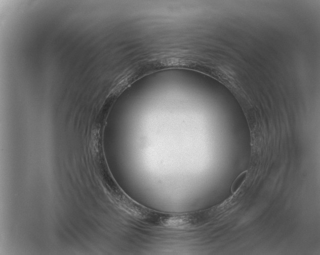 X0000052540171200507152142