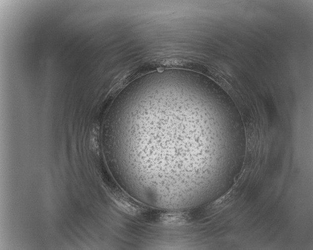 X0000052540175200507152142