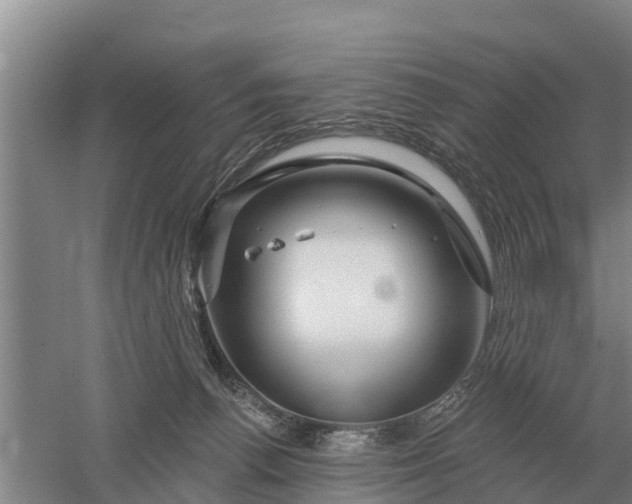 X0000052540176200507152142