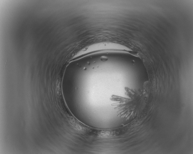 X0000052540177200507152142