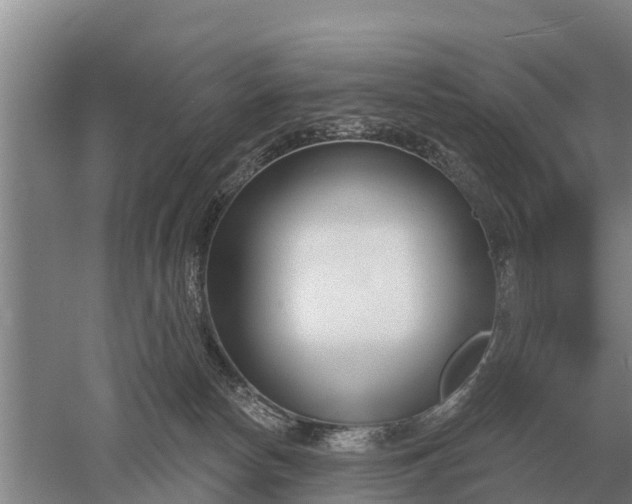 X0000052540178200507152142