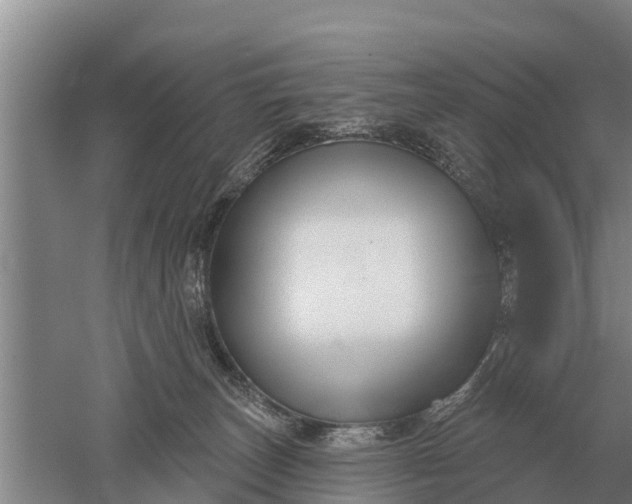 X0000052540179200507152142