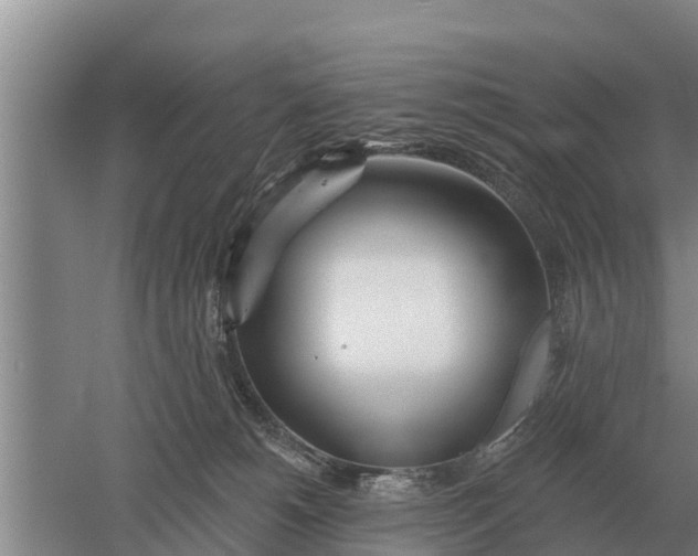 X0000052540180200507152142