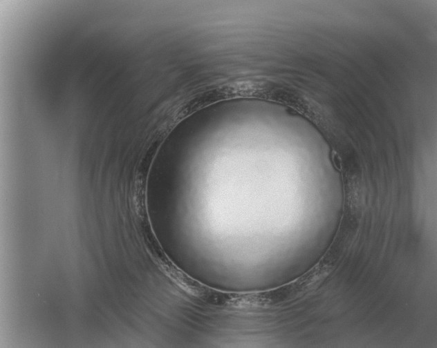 X0000052540181200507152142