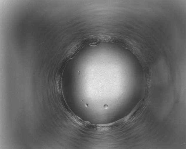 X0000052540185200507152142