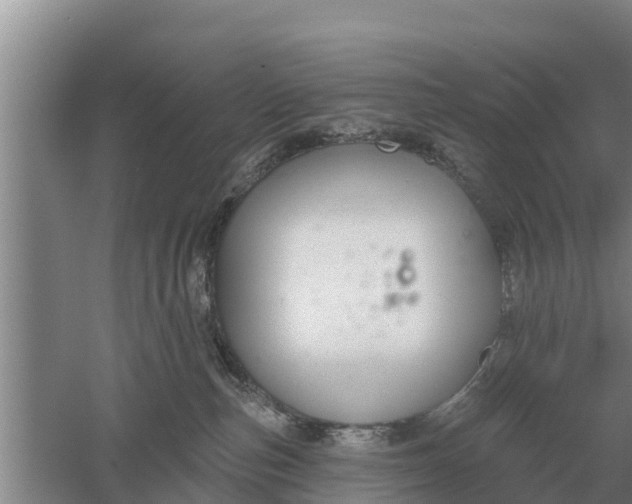 X0000052540187200507152142