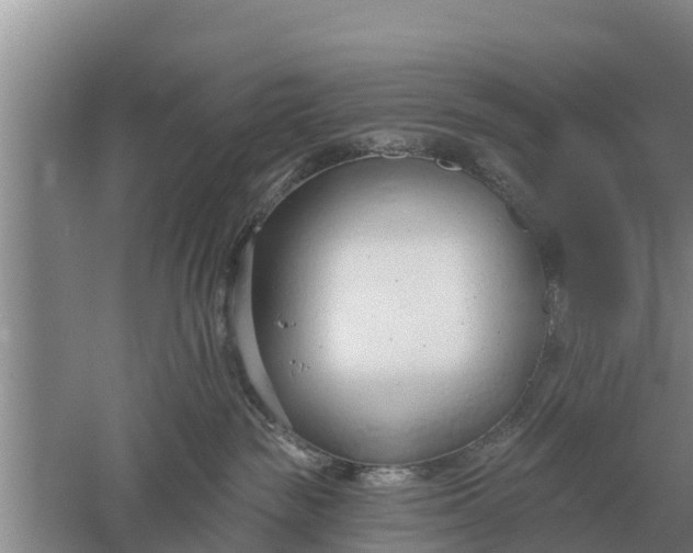 X0000052540189200507152142