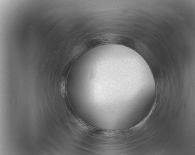 X0000052540190200507152142