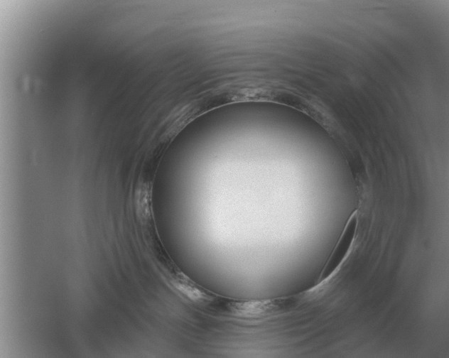 X0000052540191200507152142