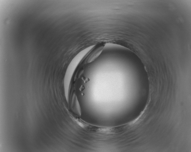 X0000052540192200507152142