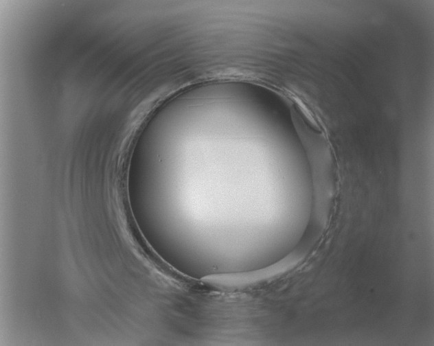 X0000052540193200507152142