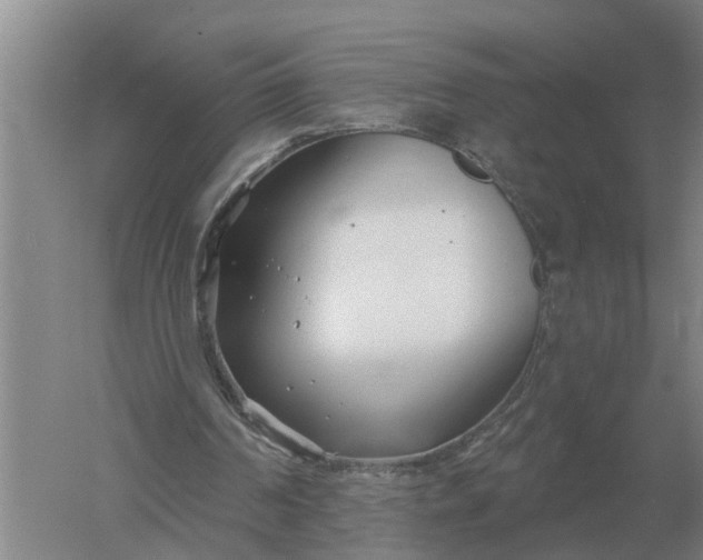 X0000052540194200507152142