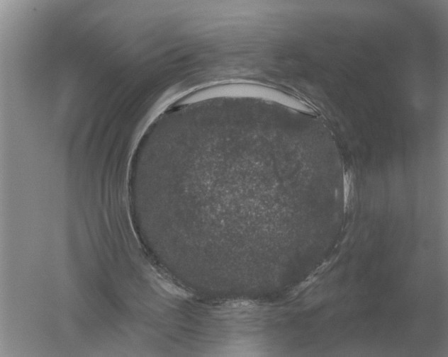 X0000052540195200507152142