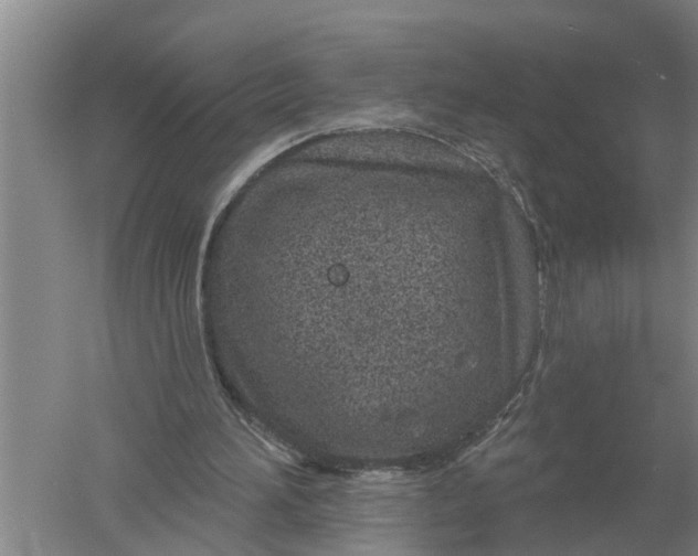 X0000052540196200507152142