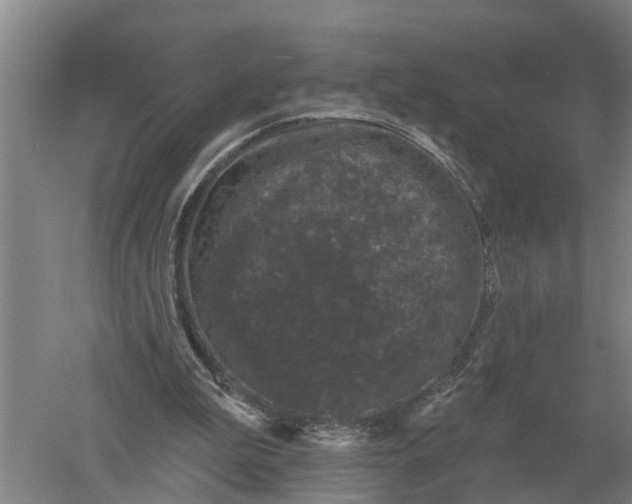 X0000052540199200507152141