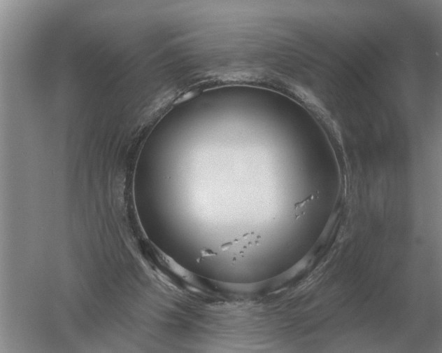 X0000052540201200507152141