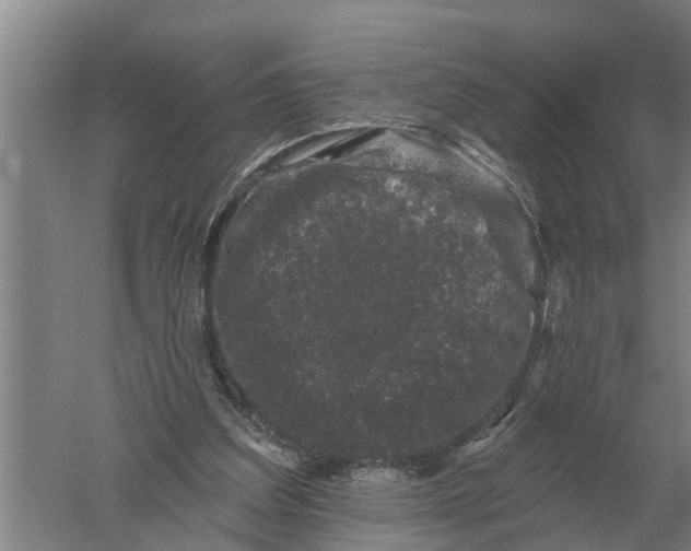 X0000052540203200507152141