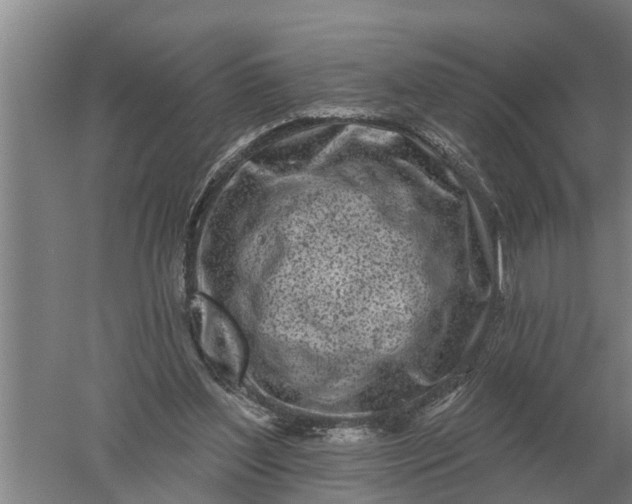 X0000052540204200507152141