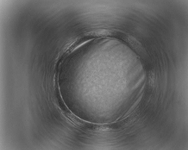 X0000052540206200507152141