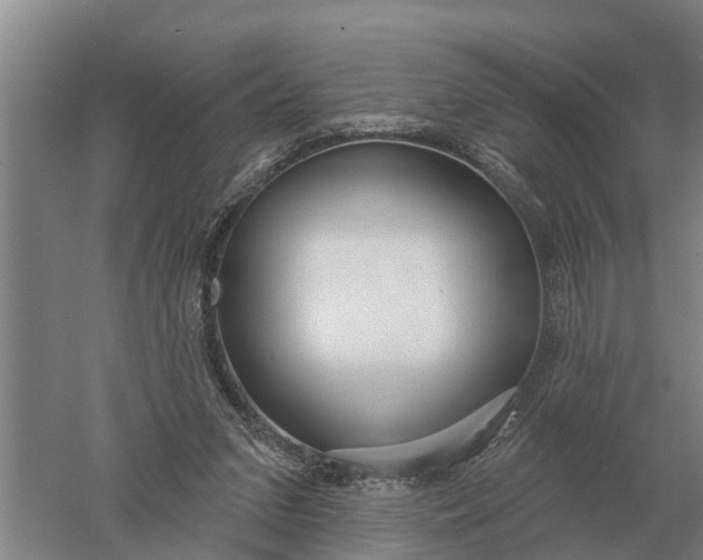 X0000052540207200507152141