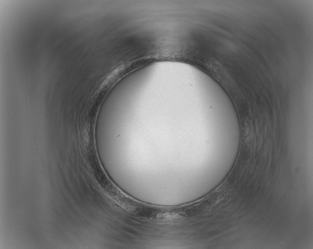 X0000052540208200507152141