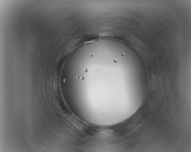 X0000052540210200507152141