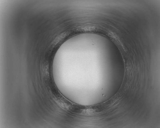 X0000052540212200507152141