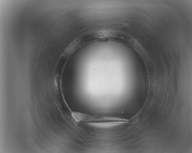 X0000052540214200507152141