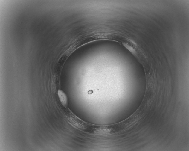 X0000052540217200507152141