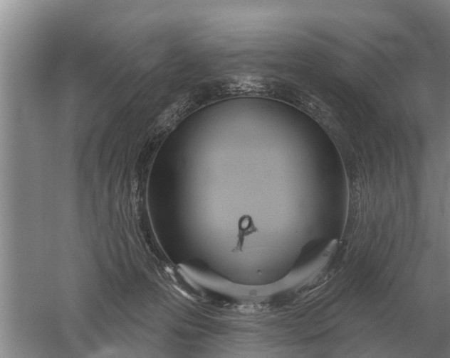 X0000052540223200507152141