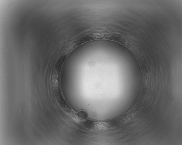 X0000052540226200507152141