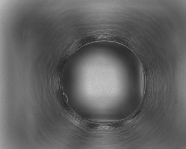 X0000052540227200507152141