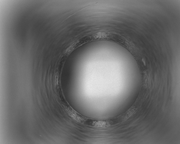 X0000052540230200507152141