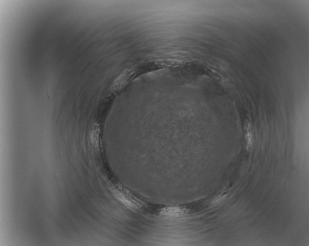 X0000052540231200507152141