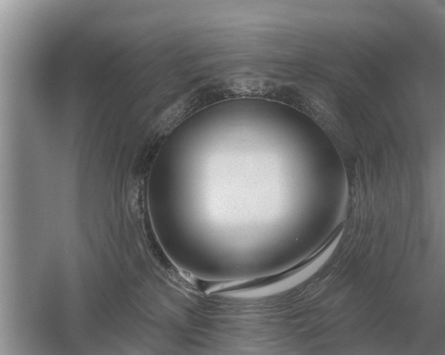 X0000052540233200507152141