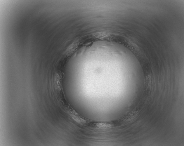 X0000052540234200507152141