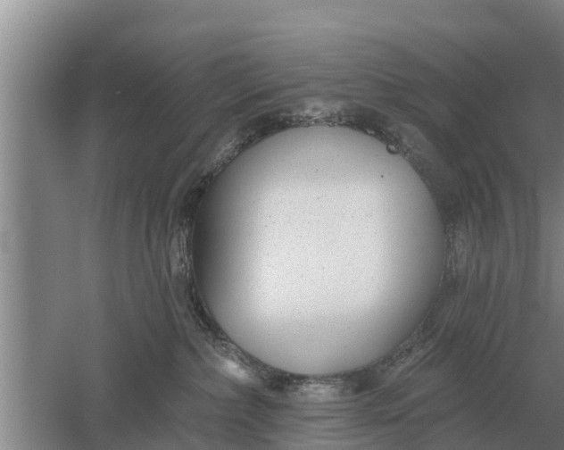 X0000052540236200507152141