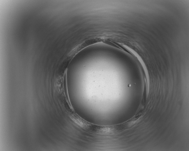 X0000052540237200507152141