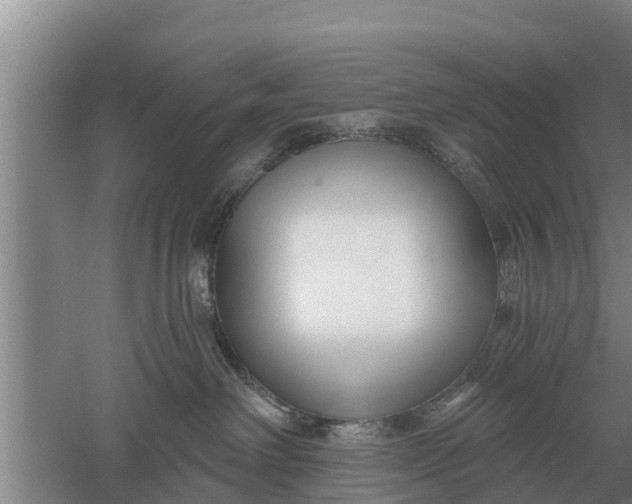 X0000052540238200507152141