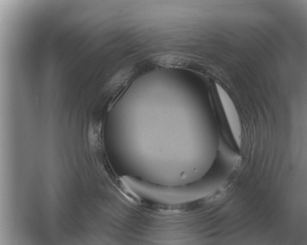 X0000052540239200507152141